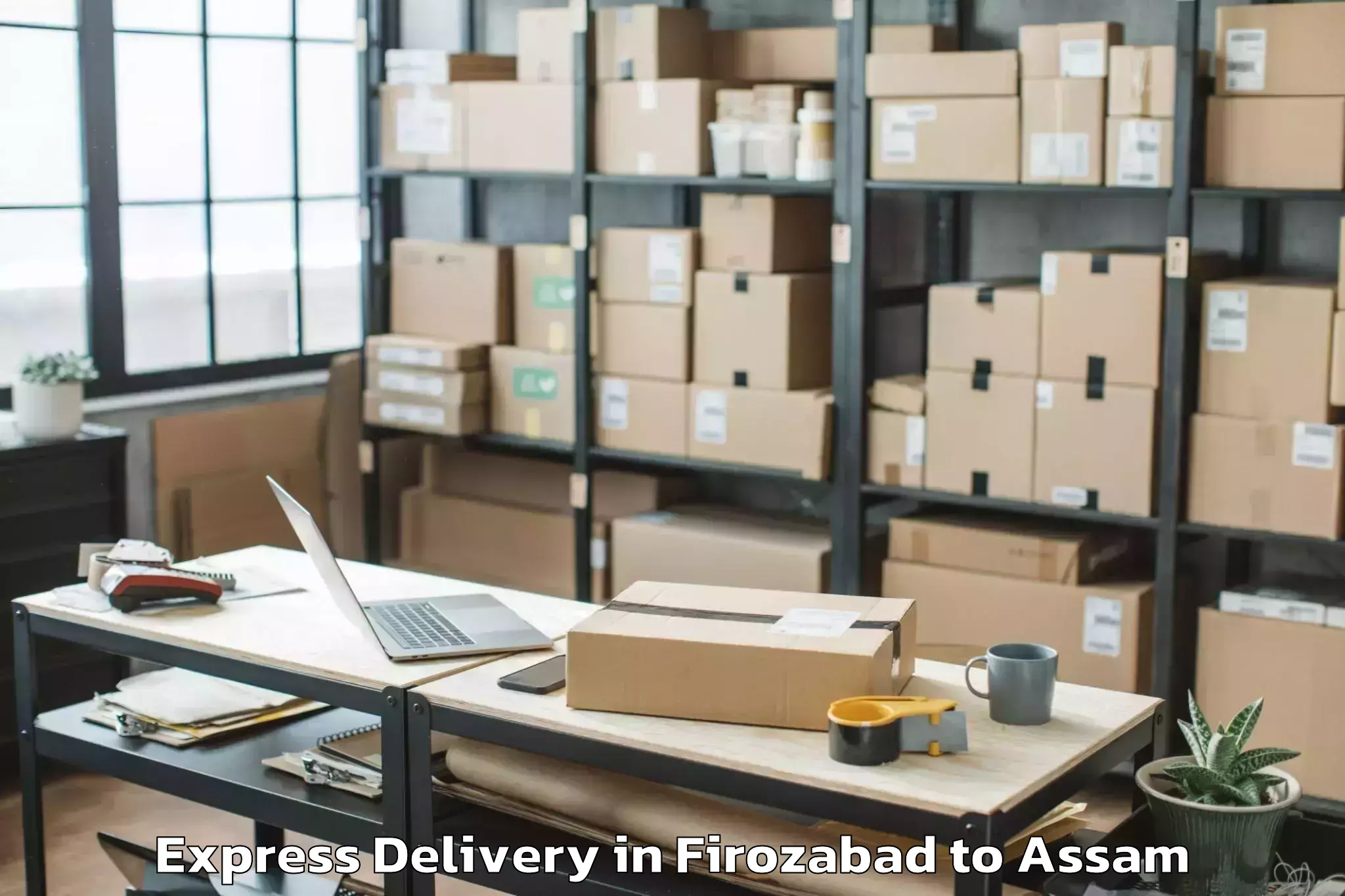 Quality Firozabad to Nazira Express Delivery